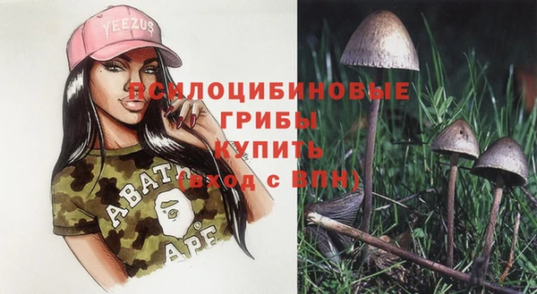a pvp Нягань
