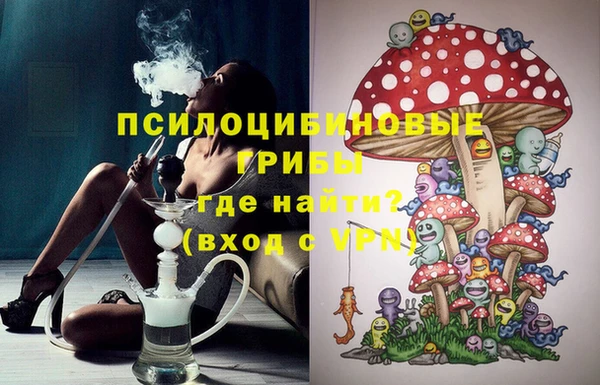 винт Осинники