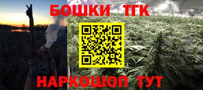 индика Пыть-Ях