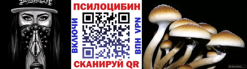 Псилоцибиновые грибы мухоморы Новокубанск