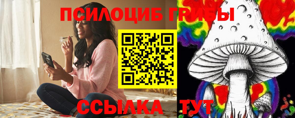 Новокубанск  Галлюциногенные грибы MAGIC MUSHROOMS  Псилоцибиновые грибы прущие грибы  Вход с VPN 