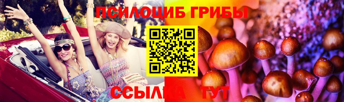 Псилоцибиновые грибы ЛСД Новокубанск